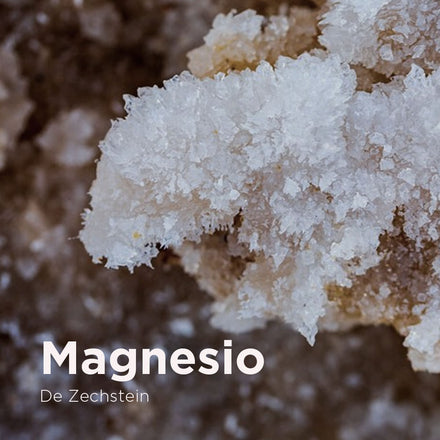 Magnesio